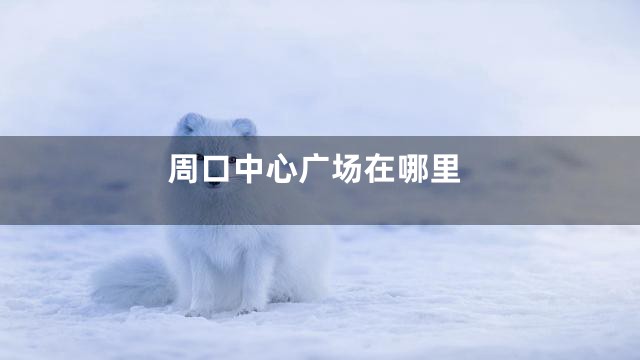 周口中心广场在哪里