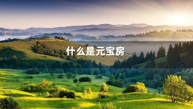什么是元宝房