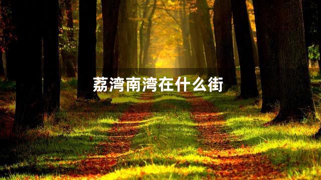 荔湾南湾在什么街