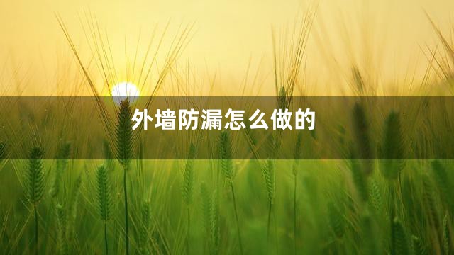 外墙防漏怎么做的