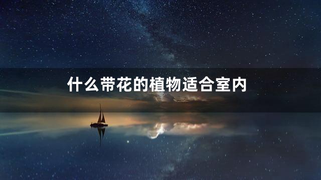 什么带花的植物适合室内