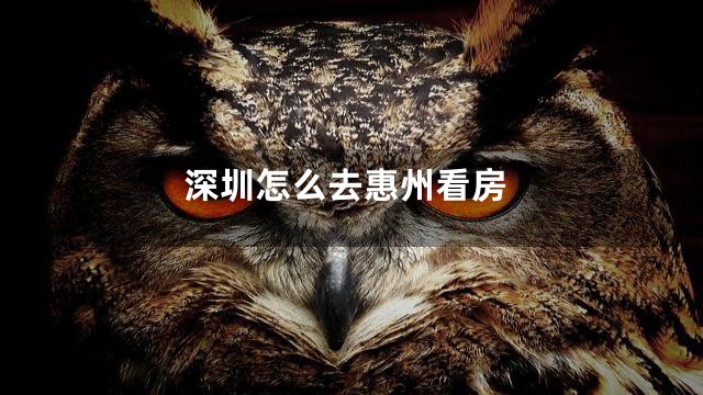 深圳怎么去惠州看房