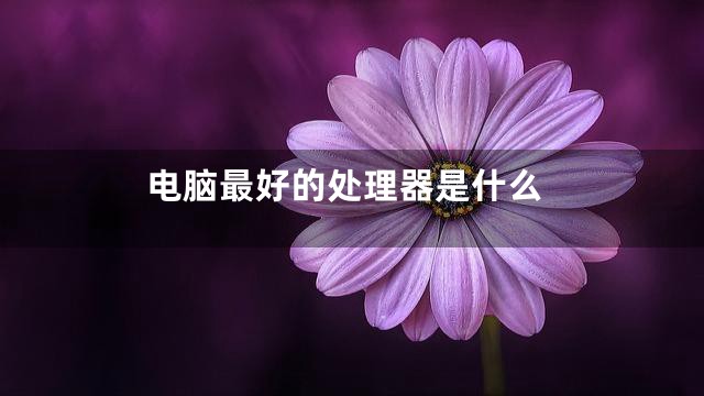 电脑最好的处理器是什么
