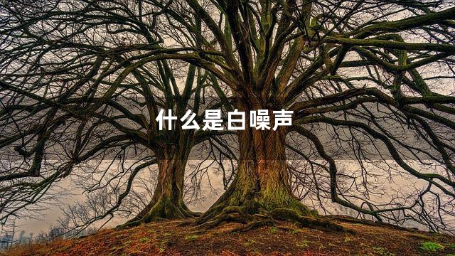 什么是白噪声