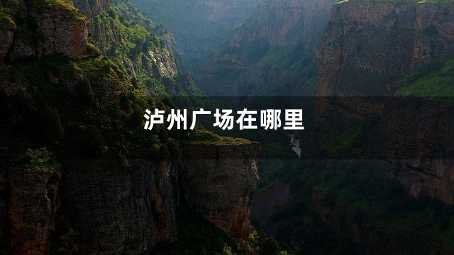 泸州广场在哪里