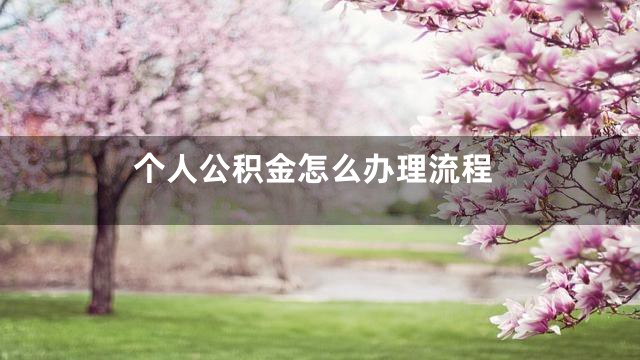个人公积金怎么办理流程