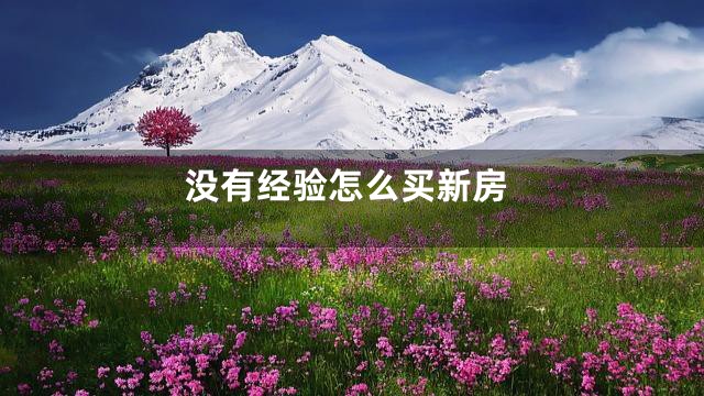 没有经验怎么买新房