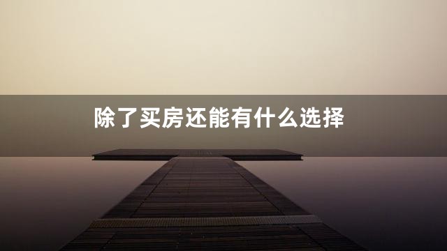 除了买房还能有什么选择