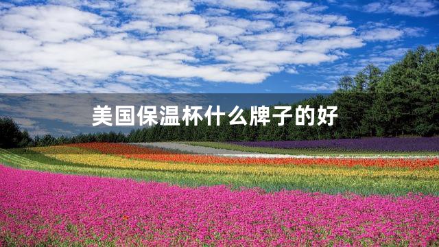 美国保温杯什么牌子的好