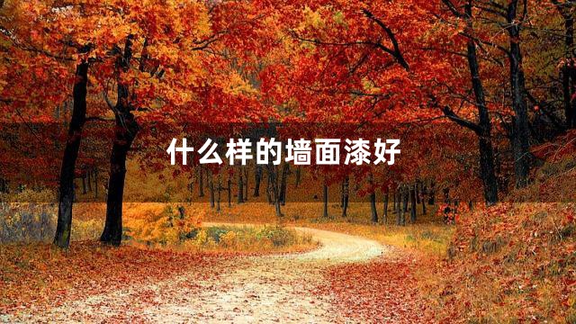 什么样的墙面漆好