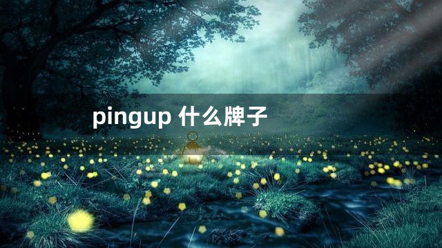 pingup 什么牌子