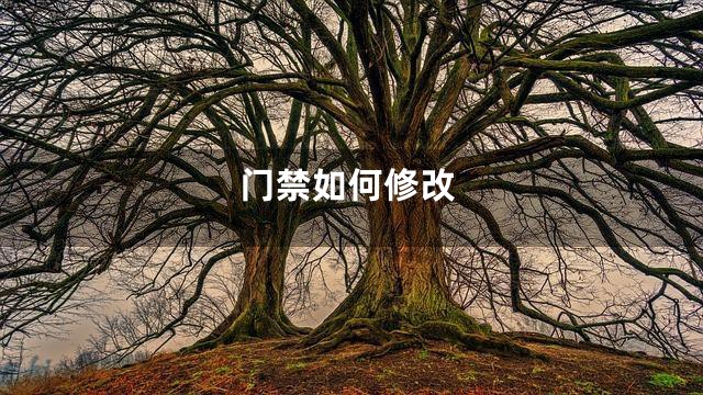 门禁如何修改