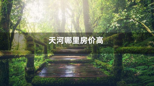 天河哪里房价高