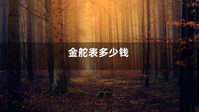 金舵表多少钱