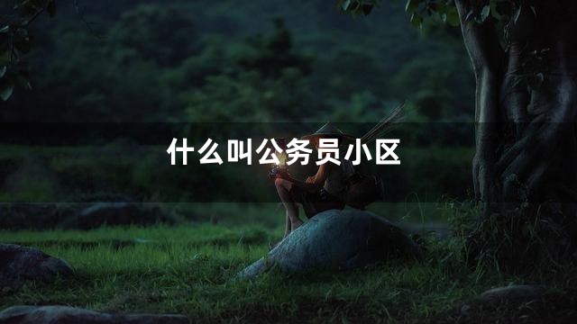 什么叫公务员小区