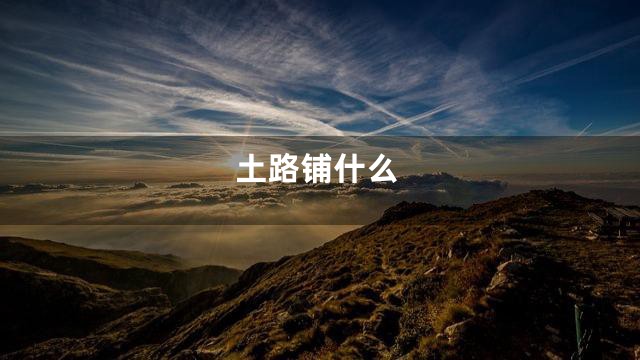 土路铺什么