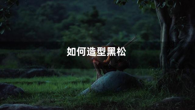 如何造型黑松