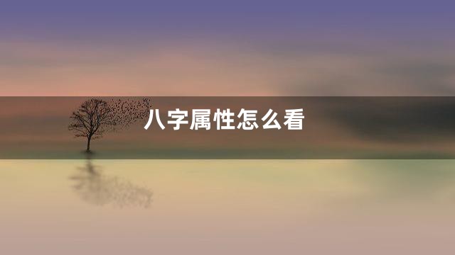 八字属性怎么看