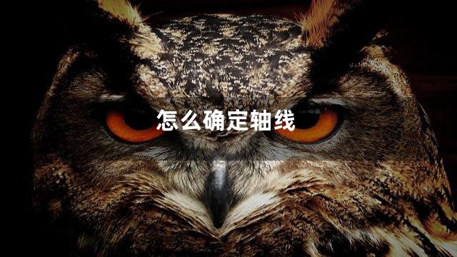 怎么确定轴线