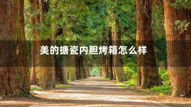 美的搪瓷内胆烤箱怎么样