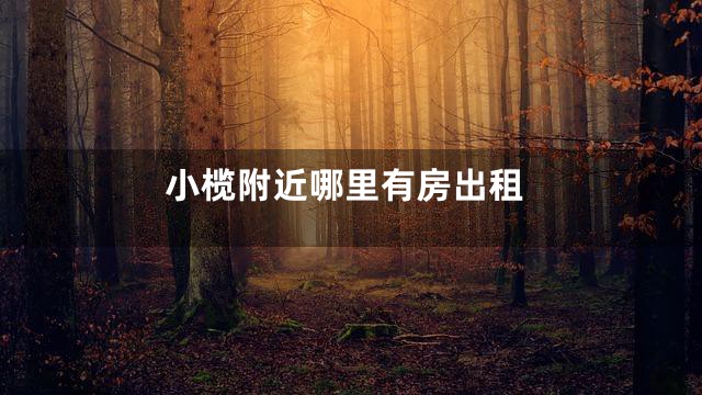 小榄附近哪里有房出租