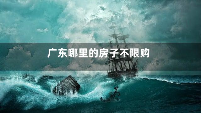 广东哪里的房子不限购