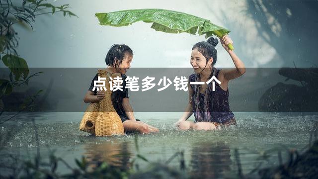 点读笔多少钱一个