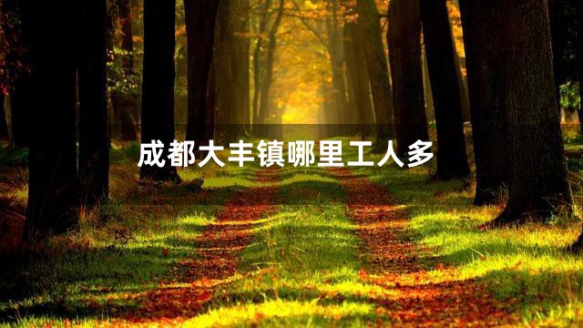 成都大丰镇哪里工人多