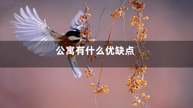 公寓有什么优缺点