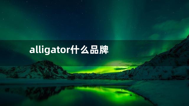 alligator什么品牌