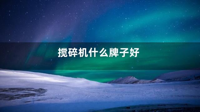 搅碎机什么牌子好