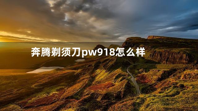 奔腾剃须刀pw918怎么样