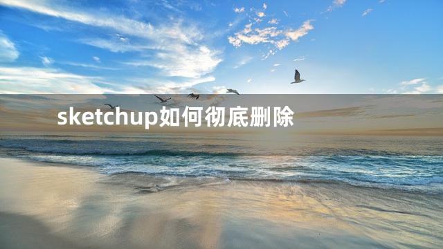 sketchup如何彻底删除