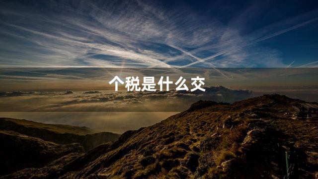 个税是什么交