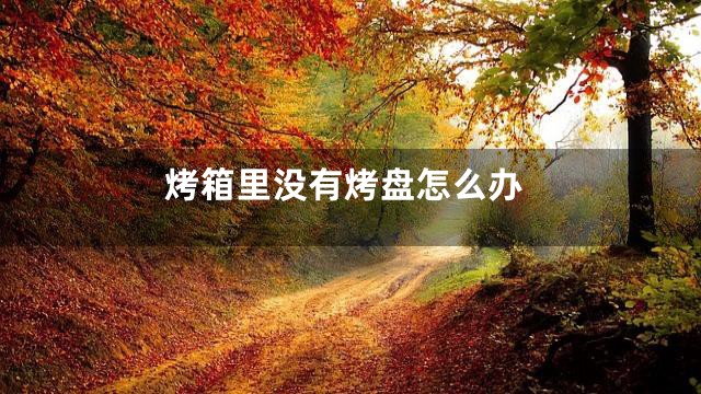 烤箱里没有烤盘怎么办