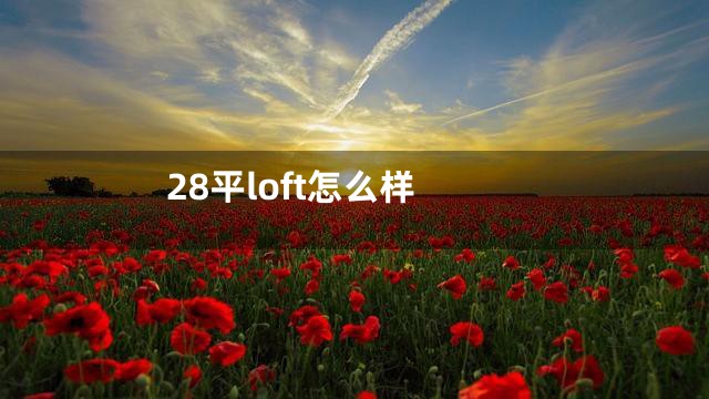 28平loft怎么样