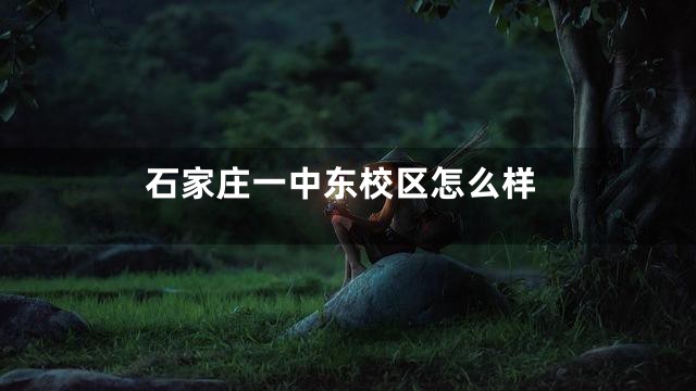 石家庄一中东校区怎么样