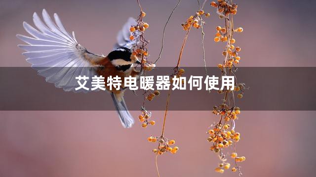 艾美特电暖器如何使用