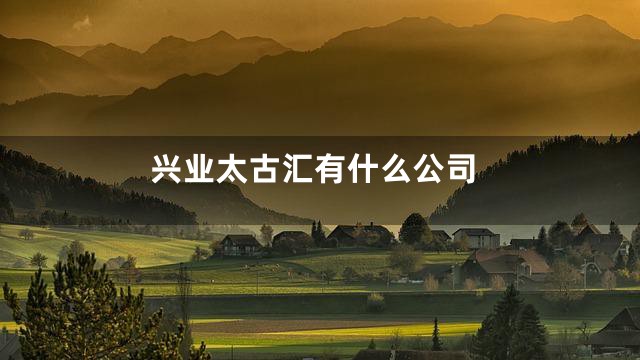 兴业太古汇有什么公司