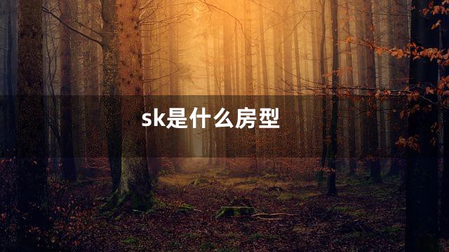 sk是什么房型