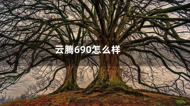 云腾690怎么样