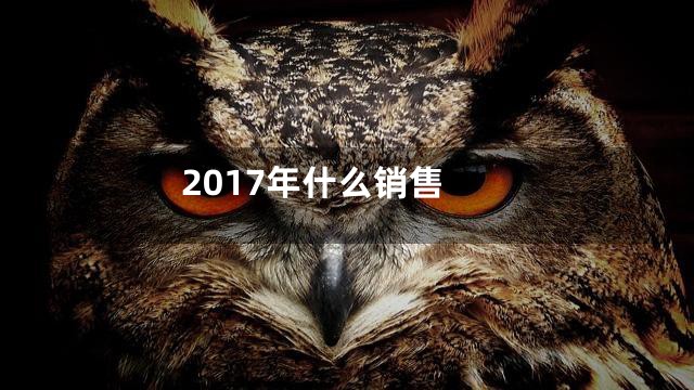 2017年什么销售