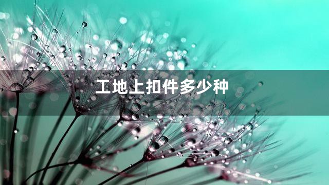 工地上扣件多少种