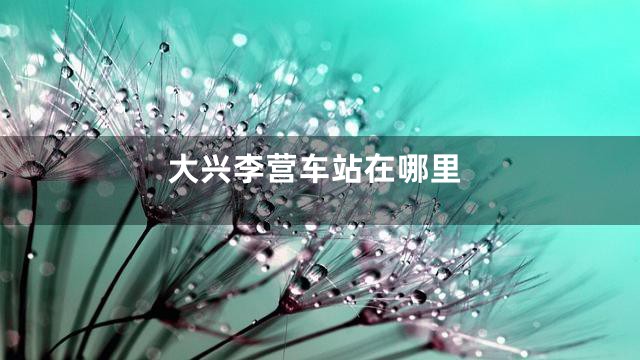 大兴李营车站在哪里