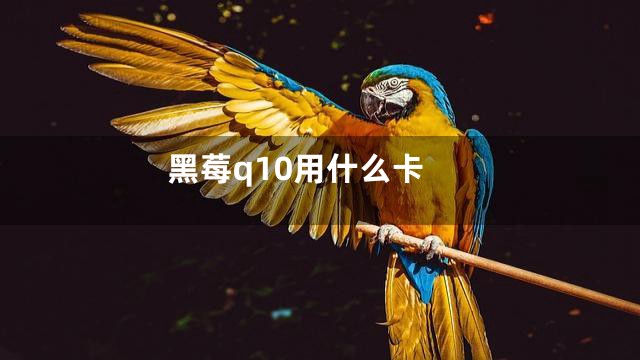 黑莓q10用什么卡