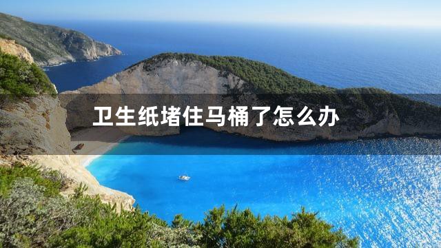 卫生纸堵住马桶了怎么办