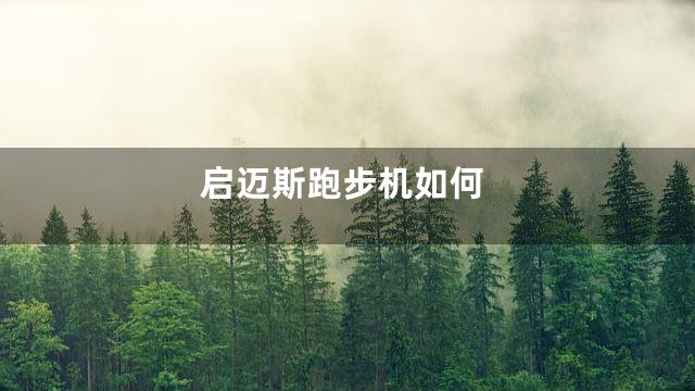 启迈斯跑步机如何