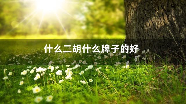 什么二胡什么牌子的好