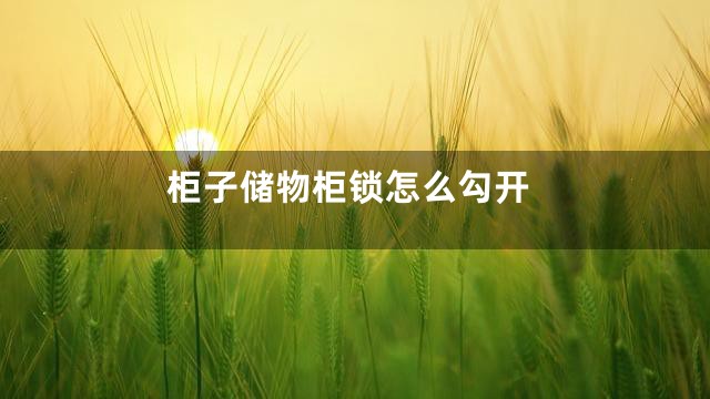 柜子储物柜锁怎么勾开