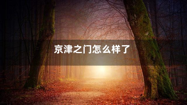 京津之门怎么样了